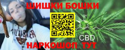 крисы Нарткала