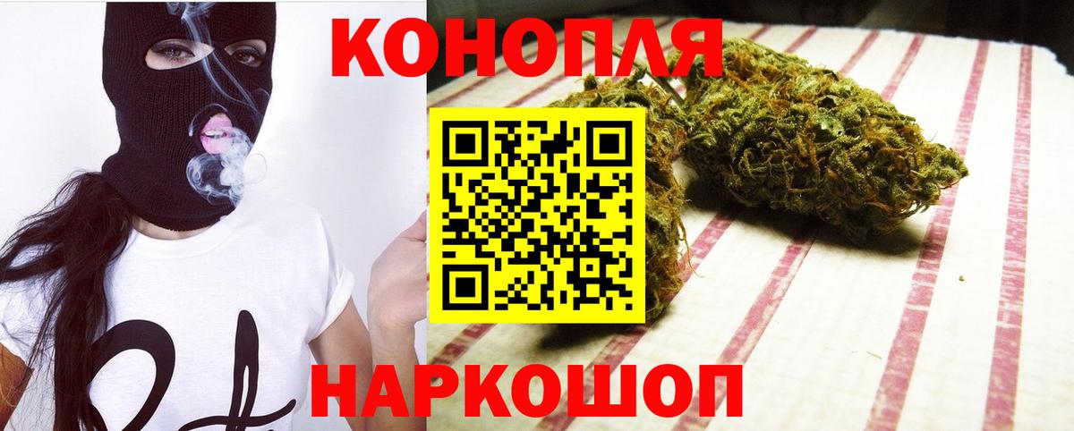 Каннабис планчик Тверь
